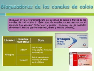 Bloquean el flujo transmembrana de los iones de calcio a través de los
canales de calcio tipo L. Este tipo de canales se encuentran en el
musculo liso vascular (arteriolar y venosa), musculo liso no vascular
(bronquios, tracto gastrointestinal, útero y tracto urinario).
 