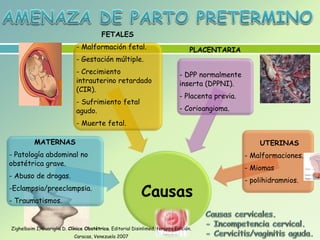 Causas
MATERNAS
- Patología abdominal no
obstétrica grave.
- Abuso de drogas.
-Eclampsia/preeclampsia.
- Traumatismos.
FETALES
- Malformación fetal.
- Gestación múltiple.
- Crecimiento
intrauterino retardado
(CIR).
- Sufrimiento fetal
agudo.
- Muerte fetal.
PLACENTARIA
- DPP normalmente
inserta (DPPNI).
- Placenta previa.
- Corioangioma.
UTERINAS
- Malformaciones.
- Miomas
- polihidramnios.
Zighelboim I, Guariglia D. Clínica Obstétrica. Editorial Disinlimed, tercera Edición.
Caracas, Venezuela 2007
 
