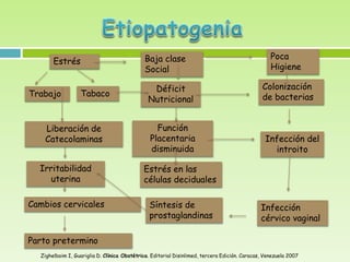 Estrés
Trabajo Tabaco
Baja clase
Social
Déficit
Nutricional
Poca
Higiene
Colonización
de bacterias
Liberación de
Catecolaminas
Función
Placentaria
disminuida
Irritabilidad
uterina
Estrés en las
células deciduales
Infección del
introito
Infección
cérvico vaginal
Síntesis de
prostaglandinas
Cambios cervicales
Parto pretermino
Zighelboim I, Guariglia D. Clínica Obstétrica. Editorial Disinlimed, tercera Edición. Caracas, Venezuela 2007
 