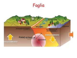 Faglia
 