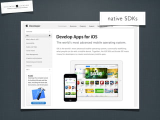 native SDKs
 