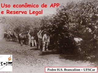 Pedro H.S. Brancalion – UFSCar
Uso econômico de APP
e Reserva Legal
 