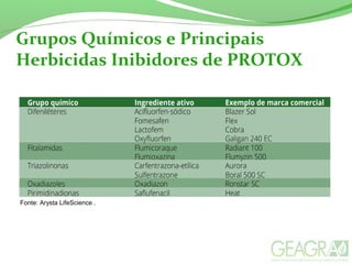Grupos Químicos e Principais
Herbicidas Inibidores de PROTOX
Fonte: Arysta LifeScience .
 