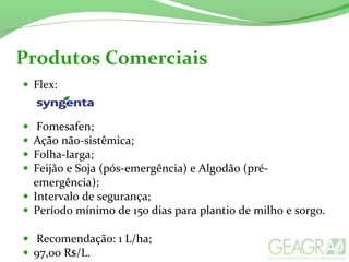 Produtos Comerciais
• Flex:
• Fomesafen;
• Ação não-sistêmica;
• Folha-larga;
• Feijão e Soja (pós-emergência) e Algodão (pré-
emergência);
• Intervalo de segurança;
• Período mínimo de 150 dias para plantio de milho e sorgo.
• Recomendação: 1 L/ha;
• 97,00 R$/L.
 
