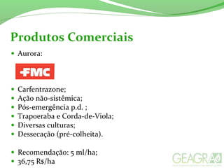 Produtos Comerciais
• Aurora:
• Carfentrazone;
• Ação não-sistêmica;
• Pós-emergência p.d. ;
• Trapoeraba e Corda-de-Viola;
• Diversas culturas;
• Dessecação (pré-colheita).
• Recomendação: 5 ml/ha;
• 36,75 R$/ha
 