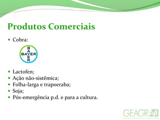 Produtos Comerciais
• Cobra:
• Lactofen;
• Ação não-sistêmica;
• Folha-larga e trapoeraba;
• Soja;
• Pós-emergência p.d. e para a cultura.
 