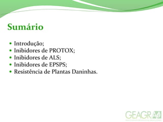 Sumário
• Introdução;
• Inibidores de PROTOX;
• Inibidores de ALS;
• Inibidores de EPSPS;
• Resistência de Plantas Daninhas.
 