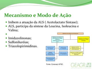 • Inibem a atuação da ALS ( Acetolactato Sintase);
• ALS, participa da síntese da Leucina, Isoleucina e
Valina;
•
• Imidazolinonas;
• Sulfoniluréias;
• Triazolopirimidinas.
Mecanismo e Modo de Ação
Fonte: Conevajr UFSC.
 
