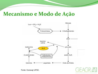 Mecanismo e Modo de Ação
Fonte: Conevajr UFSC.
 