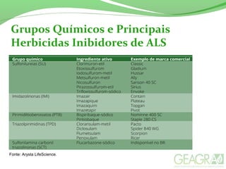 Grupos Químicos e Principais
Herbicidas Inibidores de ALS
Fonte: Arysta LifeScience.
 