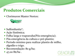 • Clorimuron Master Nortox:
• Sulfoniluréia*;
• Ação Sistêmica;
• Folha larga e trapoeraba(Pós-emergência);
• Pós-emergência da cultura e pré-plantio;
• Período mínimo para realizar plantio de milho,
algodão e trigo.
• Recomendação: 80 g/ha;
• 47,00 R$/ha .
Produtos Comerciais
 