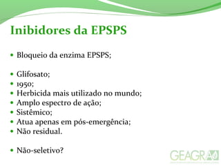 • Bloqueio da enzima EPSPS;
• Glifosato;
• 1950;
• Herbicida mais utilizado no mundo;
• Amplo espectro de ação;
• Sistêmico;
• Atua apenas em pós-emergência;
• Não residual.
• Não-seletivo?
Inibidores da EPSPS
 