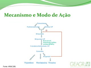 Mecanismo e Modo de Ação
Fonte: HRAC BR.
 