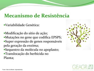 Mecanismo de Resistência
•Variabilidade Genética:
•Modificação do sítio de ação;
•Mutações no gene que codifica EPSPS;
•Super expressão de genes responsáveis
pela geração da enzima;
•Sequestro da molécula no apoplasto;
•Translocação do herbicida no
Planta;
Fonte: Vetor de Marish, depositphotos.
 