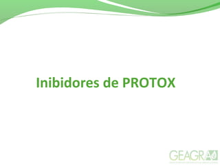 Inibidores de PROTOX
 