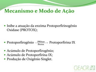 Mecanismo e Modo de Ação
• Inibe a atuação da enzima Protoporfirinogênio
Oxidase (PROTOX);
• Protoporfirogênio Protoporfirina IX
• Acúmulo de Protoporfirogênio;
• Acúmulo de Protoporfirina IX;
• Produção de Oxigênio Singlet.
 