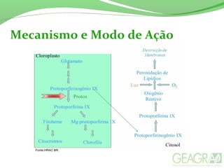 Mecanismo e Modo de Ação
Fonte:HRAC BR.
 