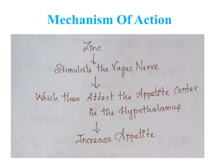 Appetite Stimulant And Suppressants.pptx
