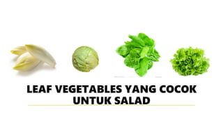 LEAF VEGETABLES YANG COCOK
UNTUK SALAD
 