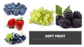 SOFT FRUIT
 