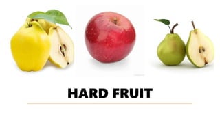 HARD FRUIT
 