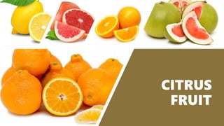 CITRUS
FRUIT
 