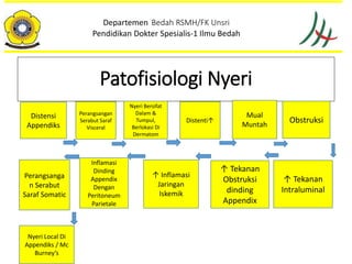Departemen Bedah RSMH/FK Unsri
Pendidikan Dokter Spesialis-1 Ilmu Bedah
Patofisiologi Nyeri
Distensi
Appendiks
Nyeri Bersifat
Dalam &
Tumpul,
Berlokasi Di
Dermatom
Distenti↑
Mual
Muntah
↑ Tekanan
Intraluminal
↑ Tekanan
Obstruksi
dinding
Appendix
↑ Inflamasi
Jaringan
Iskemik
Inflamasi
Dinding
Appendix
Dengan
Peritoneum
Parietale
Perangsanga
n Serabut
Saraf Somatic
Nyeri Local Di
Appendiks / Mc
Burney’s
Obstruksi
Perangsangan
Serabut Saraf
Visceral
 