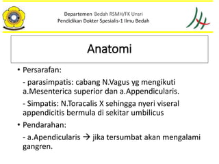 • Persarafan:
- parasimpatis: cabang N.Vagus yg mengikuti
a.Mesenterica superior dan a.Appendicularis.
- Simpatis: N.Toracalis X sehingga nyeri viseral
appendicitis bermula di sekitar umbilicus
• Pendarahan:
- a.Apendicularis  jika tersumbat akan mengalami
gangren.
Departemen Bedah RSMH/FK Unsri
Pendidikan Dokter Spesialis-1 Ilmu Bedah
Anatomi
 