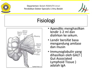 • Apendiks menghasilkan
lendir 1-2 ml dan
dialirkan ke sekum.
• Lendir bersifat basa
mengandung amilase
dan musin
• Immunoglobulin yang
dihasilkan oleh GALT (
Gut Associated
Lymphoid Tissue )
adalah IgA
Departemen Bedah RSMH/FK Unsri
Pendidikan Dokter Spesialis-1 Ilmu Bedah
Fisiologi
 