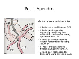 Posisi Apendiks
Macam – macam posisi apendiks:
• 1. Posisi retrocecal kira-kira 64%.
• 2. Posisi pelvic apendiks
tergantung menyilang linea
terminal masuk kepelvis minor,
tipe desenden 32 %.
• 3. Posisi paracolica apendiks
terletak horizontal di belakang
sekum 2%.
• 4. Posisi preileal apendiks
didepan ujung akir ileum 1%.
• 5. Posisi post ileal appendiks
dibelakang ujung akir ileum 0.5%.
 