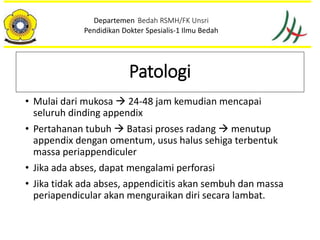 • Mulai dari mukosa  24-48 jam kemudian mencapai
seluruh dinding appendix
• Pertahanan tubuh  Batasi proses radang  menutup
appendix dengan omentum, usus halus sehiga terbentuk
massa periappendiculer
• Jika ada abses, dapat mengalami perforasi
• Jika tidak ada abses, appendicitis akan sembuh dan massa
periapendicular akan menguraikan diri secara lambat.
Departemen Bedah RSMH/FK Unsri
Pendidikan Dokter Spesialis-1 Ilmu Bedah
Patologi
 