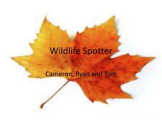 Wildlife Spotter
Cameron, Ryan and Tom
 