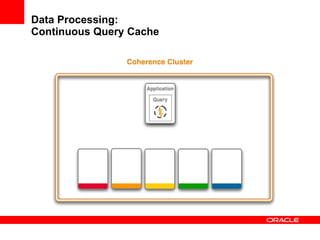 Data Processing: Continuous Query Cache 