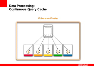 Data Processing: Continuous Query Cache 
