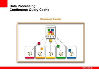 Data Processing: Continuous Query Cache 