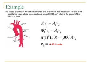 Example
The speed of blood in the aorta is 50 cm/s and this vessel has a radius of 1.0 cm. If the
capillaries have a total cross sectional area of 3000 cm2
, what is the speed of the
blood in them?
=
=
=
=
2
2
2
221
2
1
2211
)3000()50()1(
v
v
vAvr
vAvA
π
π
0.052 cm/s
 