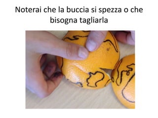 Noterai che la buccia si spezza o che 
bisogna tagliarla 
 