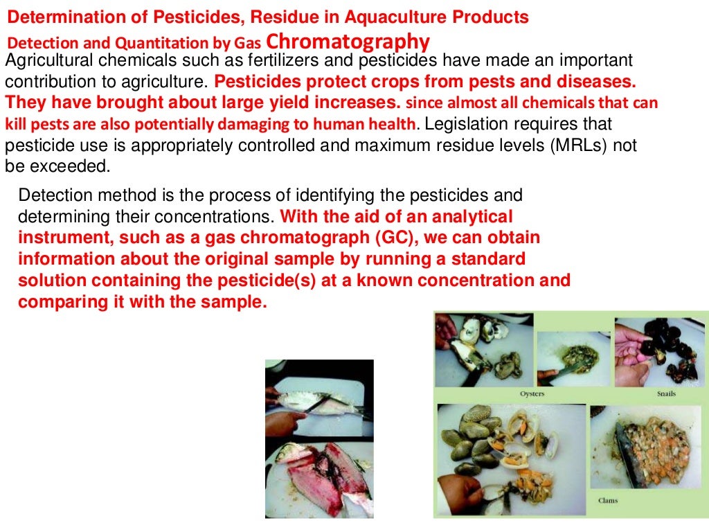 PHARMACEUTICAL APPLICATIONS OF GAS CHROMATOGRAPHY(GC), PHARMACEUTICA…