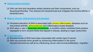  Antimicrobial activities
 SAA can bind and neutralize certain bacteria and their components, such as
lipopolysachharides. This reduces the bacterial load and mitigates the harmful effects of
bacterial toxins
 Role in chronic inflammation and diseases
 Persistent elevation of SAA is associated with chronic inflammatory diseases such as
rheumatoid arthritis, atherosclerosis and inflammatory bowel diseases
 SAA plays s role in secondary amyloidosis, a condition where misfolded SAA proteins
segregate to form amyloid fibrils that deposit in tissues, leading to organ dysfunction
 Tumorigenesis
 Elevated levels of SAA have been associated with certain type of cancer.
 SAA can promote tumor growth by enhancing inflammation in the tumor
microenvironment as well as by influencing cancer cell survival proliferation, migration.
 