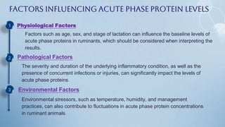 Factors Influencing Acute Phase Protein Levels
Physiological Factors
Factors such as age, sex, and stage of lactation can influence the baseline levels of
acute phase proteins in ruminants, which should be considered when interpreting the
results.
Pathological Factors
The severity and duration of the underlying inflammatory condition, as well as the
presence of concurrent infections or injuries, can significantly impact the levels of
acute phase proteins.
Environmental Factors
Environmental stressors, such as temperature, humidity, and management
practices, can also contribute to fluctuations in acute phase protein concentrations
in ruminant animals.
1
2
3
 