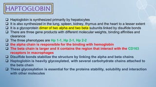 Haptoglobin
 Haptoglobin is synthesized primarily by hepatocytes
 It is also synthesized in the lung, spleen, kidney, thymus and the heart to a lesser extent
 It is a glycoprotein dimer of two alpha and two beta subunits linked by disulfide bonds
 There are three gene products with different molecular weights, binding affinities and
clearance
 The three phenotypes are Hp 1-1, Hp 2-1, Hp 2-2
 the alpha chain is responsible for the binding with hemoglobin
 The beta chain is larger and it contains the region that interact with the CD163
receptors in macrophages
 Disulfide bonds stabilize the structure by linking the alpha and beta chains
 Haptoglobin is heavily glycosylated, with several carbohydrate chains attached to
the beta chain
 These glycosylation is essential for the proteins stability, solubility and interaction
with other molecules
 