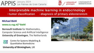 Interpretable machine learning in endocrinology
•tumor classification •diagnosis of primary aldosteronism
Michael Biehl
www.cs.rug.nl/~biehl
Bernoulli Ins6tute for Mathema+cs,
Computer Science and Ar+ﬁcial Intelligence
University of Groningen, The Netherlands
Centre for Systems Modelling &
Quan6ta6ve Biomedicine
University of Birmingham, UK
January 2024
 