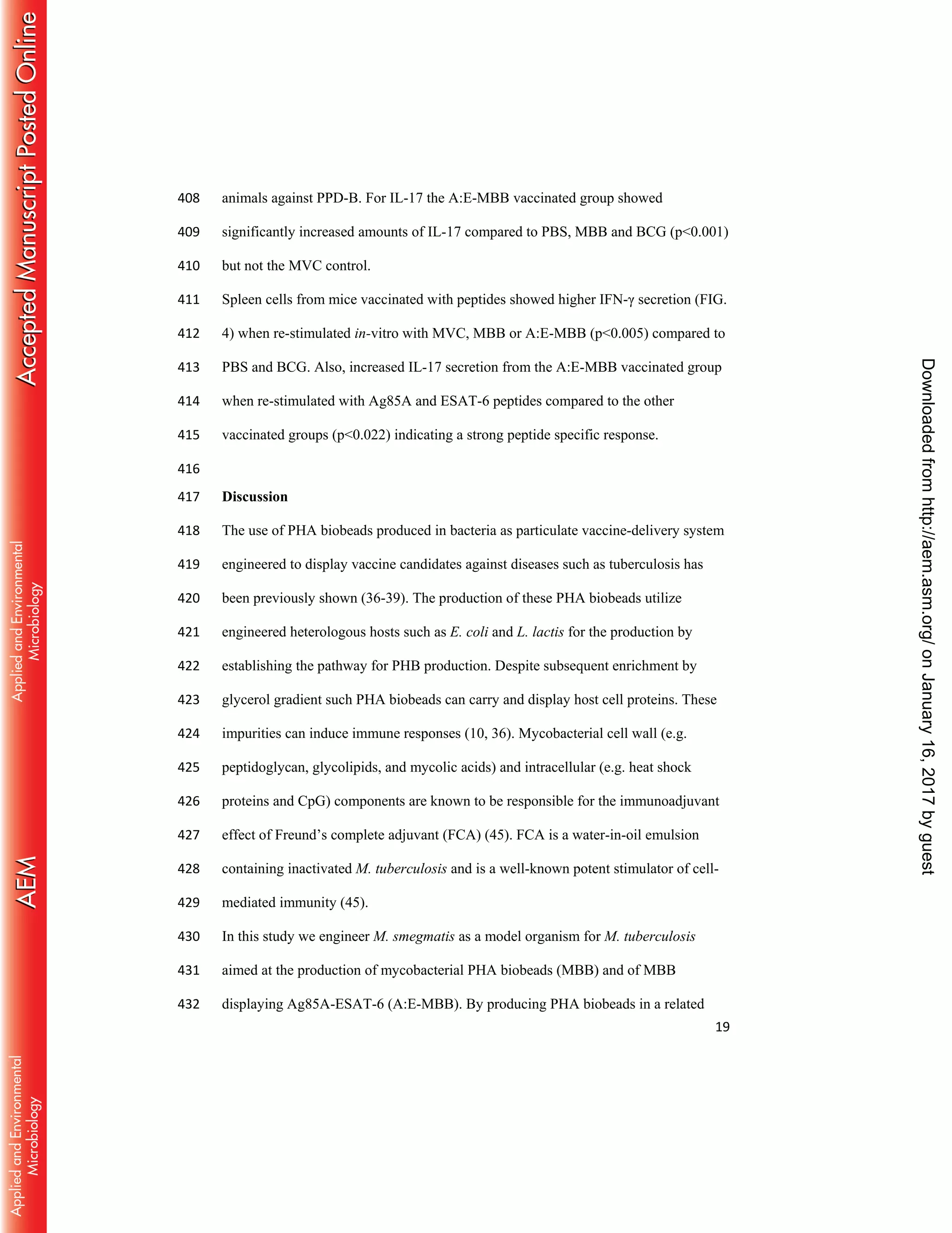 19
animals against PPD-B. For IL-17 the A:E-MBB vaccinated group showed408
significantly increased amounts of IL-17 compared to PBS, MBB and BCG (p<0.001)409
but not the MVC control.410
Spleen cells from mice vaccinated with peptides showed higher IFN-γ secretion (FIG.411
4) when re-stimulated in-vitro with MVC, MBB or A:E-MBB (p<0.005) compared to412
PBS and BCG. Also, increased IL-17 secretion from the A:E-MBB vaccinated group413
when re-stimulated with Ag85A and ESAT-6 peptides compared to the other414
vaccinated groups (p<0.022) indicating a strong peptide specific response.415
416
Discussion417
The use of PHA biobeads produced in bacteria as particulate vaccine-delivery system418
engineered to display vaccine candidates against diseases such as tuberculosis has419
been previously shown (36-39). The production of these PHA biobeads utilize420
engineered heterologous hosts such as E. coli and L. lactis for the production by421
establishing the pathway for PHB production. Despite subsequent enrichment by422
glycerol gradient such PHA biobeads can carry and display host cell proteins. These423
impurities can induce immune responses (10, 36). Mycobacterial cell wall (e.g.424
peptidoglycan, glycolipids, and mycolic acids) and intracellular (e.g. heat shock425
proteins and CpG) components are known to be responsible for the immunoadjuvant426
effect of Freund’s complete adjuvant (FCA) (45). FCA is a water-in-oil emulsion427
containing inactivated M. tuberculosis and is a well-known potent stimulator of cell-428
mediated immunity (45).429
In this study we engineer M. smegmatis as a model organism for M. tuberculosis430
aimed at the production of mycobacterial PHA biobeads (MBB) and of MBB431
displaying Ag85A-ESAT-6 (A:E-MBB). By producing PHA biobeads in a related432
onJanuary16,2017byguesthttp://aem.asm.org/Downloadedfrom
 