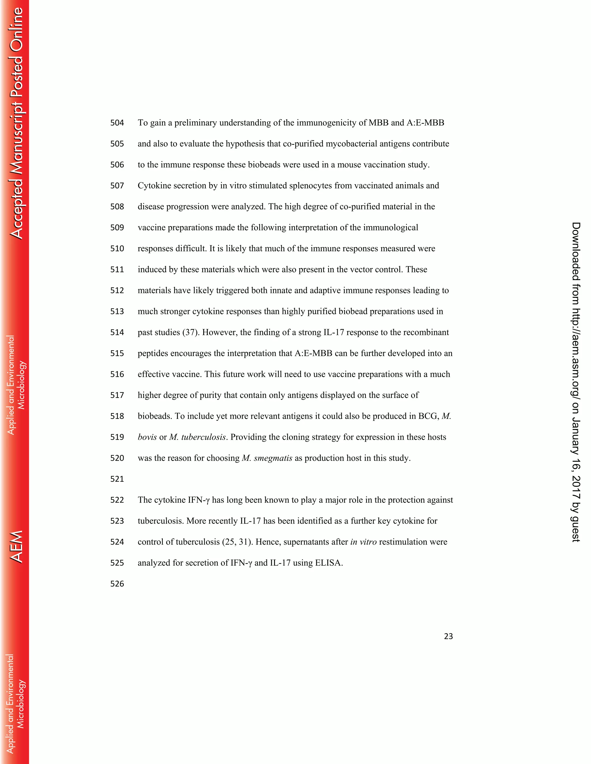 23
To gain a preliminary understanding of the immunogenicity of MBB and A:E-MBB504
and also to evaluate the hypothesis that co-purified mycobacterial antigens contribute505
to the immune response these biobeads were used in a mouse vaccination study.506
Cytokine secretion by in vitro stimulated splenocytes from vaccinated animals and507
disease progression were analyzed. The high degree of co-purified material in the508
vaccine preparations made the following interpretation of the immunological509
responses difficult. It is likely that much of the immune responses measured were510
induced by these materials which were also present in the vector control. These511
materials have likely triggered both innate and adaptive immune responses leading to512
much stronger cytokine responses than highly purified biobead preparations used in513
past studies (37). However, the finding of a strong IL-17 response to the recombinant514
peptides encourages the interpretation that A:E-MBB can be further developed into an515
effective vaccine. This future work will need to use vaccine preparations with a much516
higher degree of purity that contain only antigens displayed on the surface of517
biobeads. To include yet more relevant antigens it could also be produced in BCG, M.518
bovis or M. tuberculosis. Providing the cloning strategy for expression in these hosts519
was the reason for choosing M. smegmatis as production host in this study.520
521
The cytokine IFN-γ has long been known to play a major role in the protection against522
tuberculosis. More recently IL-17 has been identified as a further key cytokine for523
control of tuberculosis (25, 31). Hence, supernatants after in vitro restimulation were524
analyzed for secretion of IFN-γ and IL-17 using ELISA.525
526
onJanuary16,2017byguesthttp://aem.asm.org/Downloadedfrom
 