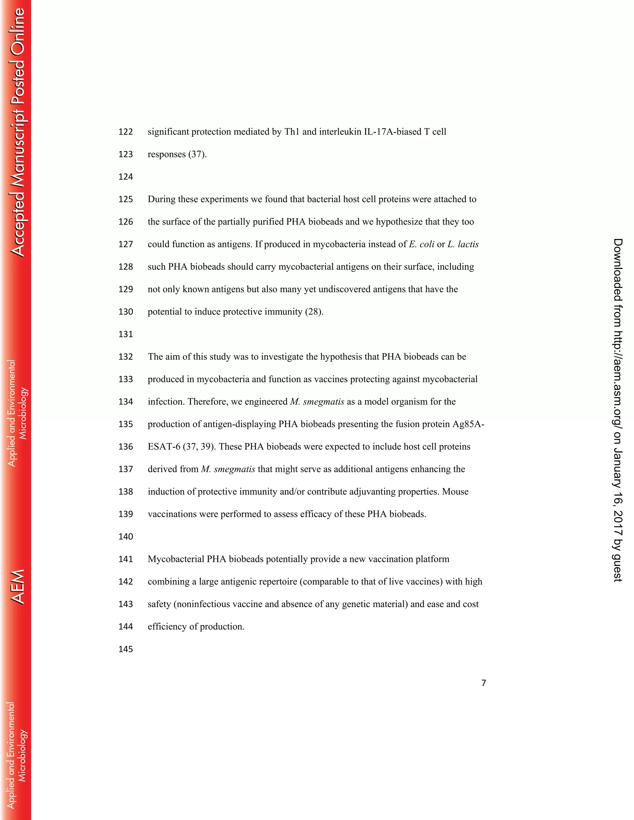 7
significant protection mediated by Th1 and interleukin IL-17A-biased T cell122
responses (37).123
124
During these experiments we found that bacterial host cell proteins were attached to125
the surface of the partially purified PHA biobeads and we hypothesize that they too126
could function as antigens. If produced in mycobacteria instead of E. coli or L. lactis127
such PHA biobeads should carry mycobacterial antigens on their surface, including128
not only known antigens but also many yet undiscovered antigens that have the129
potential to induce protective immunity (28).130
131
The aim of this study was to investigate the hypothesis that PHA biobeads can be132
produced in mycobacteria and function as vaccines protecting against mycobacterial133
infection. Therefore, we engineered M. smegmatis as a model organism for the134
production of antigen-displaying PHA biobeads presenting the fusion protein Ag85A-135
ESAT-6 (37, 39). These PHA biobeads were expected to include host cell proteins136
derived from M. smegmatis that might serve as additional antigens enhancing the137
induction of protective immunity and/or contribute adjuvanting properties. Mouse138
vaccinations were performed to assess efficacy of these PHA biobeads.139
140
Mycobacterial PHA biobeads potentially provide a new vaccination platform141
combining a large antigenic repertoire (comparable to that of live vaccines) with high142
safety (noninfectious vaccine and absence of any genetic material) and ease and cost143
efficiency of production.144
145
onJanuary16,2017byguesthttp://aem.asm.org/Downloadedfrom
 