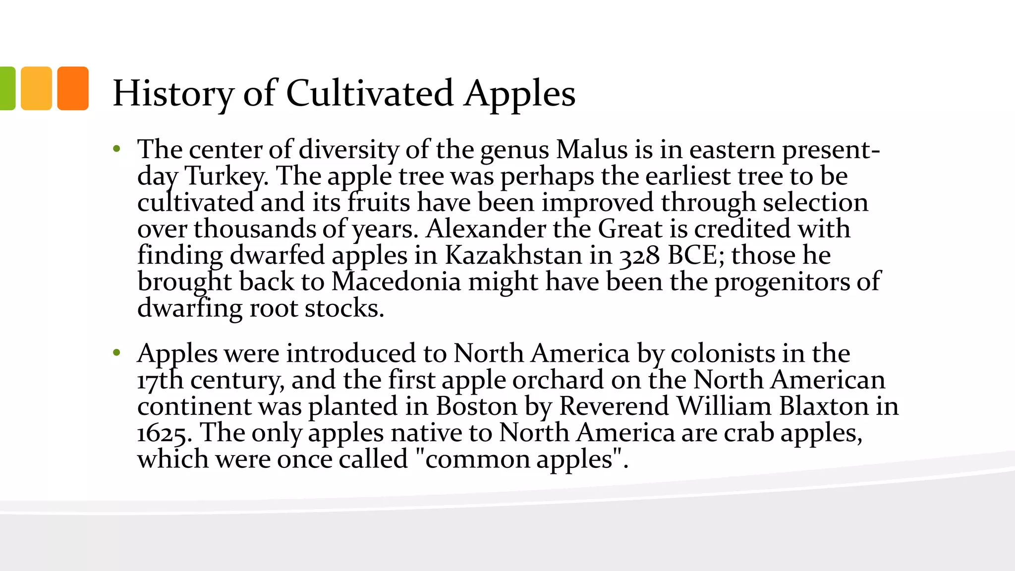 Apple | PDF