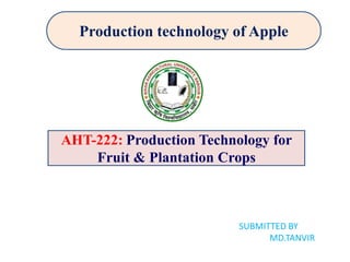 Production technology of Apple
AHT-222: Production Technology for
Fruit & Plantation Crops
SUBMITTED BY
MD.TANVIR
 