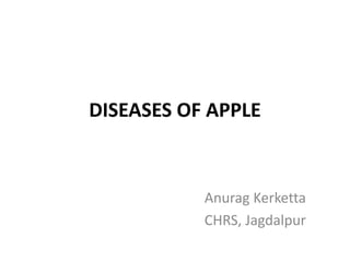 DISEASES OF APPLE
Anurag Kerketta
CHRS, Jagdalpur
 
