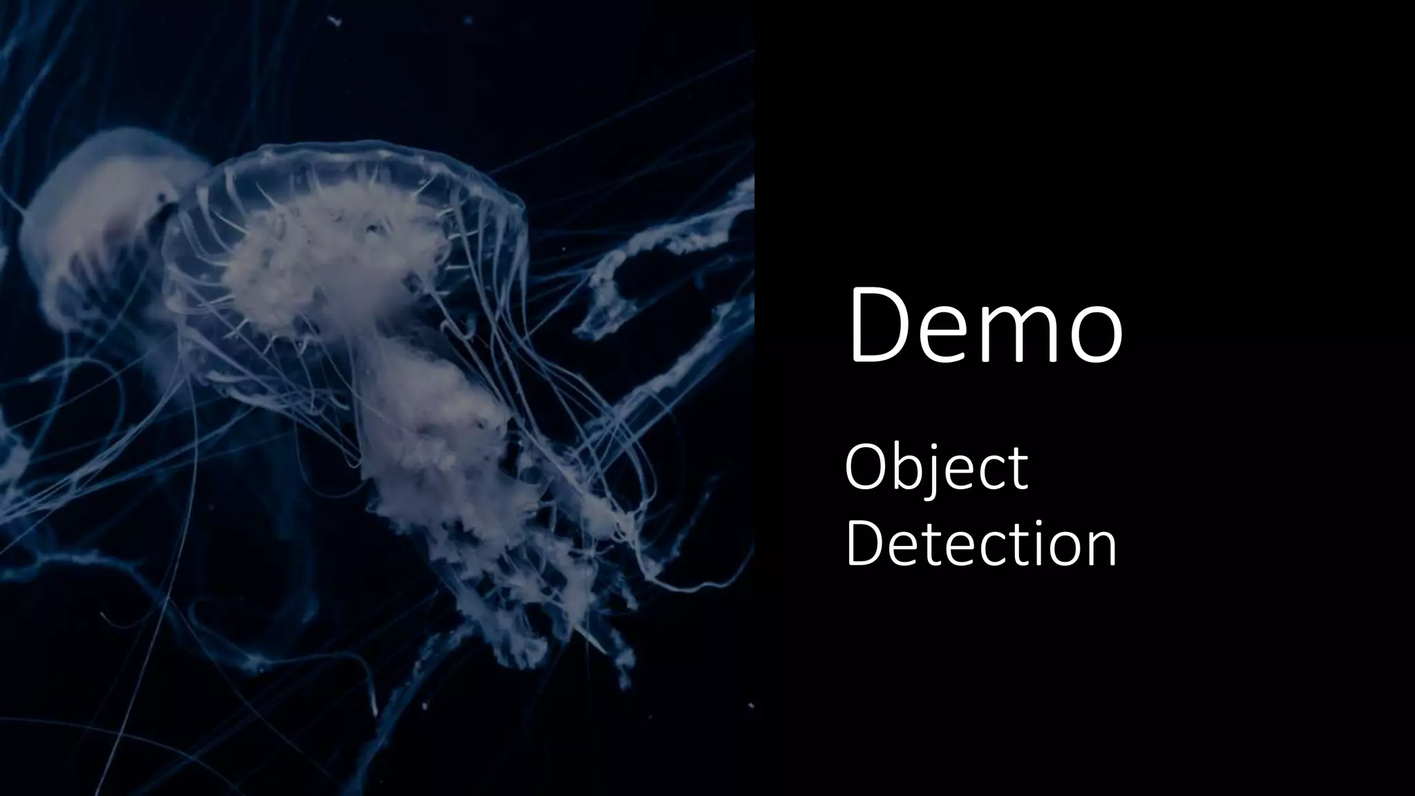 Demo
Object
Detection
 