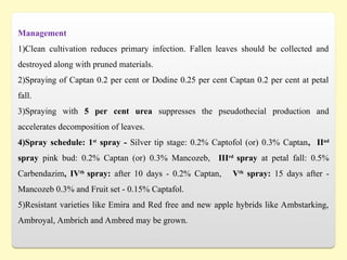Management
1)Clean cultivation reduces primary infection. Fallen leaves should be collected and
destroyed along with pruned materials.
2)Spraying of Captan 0.2 per cent or Dodine 0.25 per cent Captan 0.2 per cent at petal
fall.
3)Spraying with 5 per cent urea suppresses the pseudothecial production and
accelerates decomposition of leaves.
4)Spray schedule: 1st
spray - Silver tip stage: 0.2% Captofol (or) 0.3% Captan, IInd
spray pink bud: 0.2% Captan (or) 0.3% Mancozeb, IIIrd
spray at petal fall: 0.5%
Carbendazim, IVth
spray: after 10 days - 0.2% Captan, Vth
spray: 15 days after -
Mancozeb 0.3% and Fruit set - 0.15% Captafol.
5)Resistant varieties like Emira and Red free and new apple hybrids like Ambstarking,
Ambroyal, Ambrich and Ambred may be grown.
 
